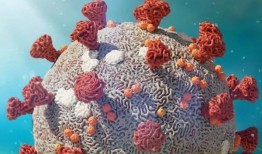 基因测试可以快速诊断出任何类型的感染