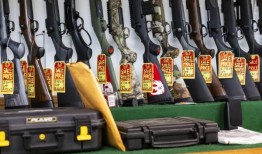 阿拉巴马州持枪者数量下降