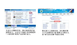 药品批准文号查询：为您的健康保驾护航