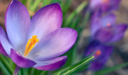 电脑桌面背景下载，让你成为桌面美化达人