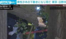 星巴克在日本购物中心开设家庭咖啡馆