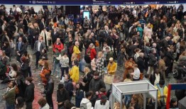 看门狗说，尤斯顿机场的过度拥挤让乘客处于危险之中