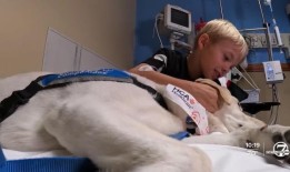 四月份格伦代尔谋杀案的嫌疑人在德州