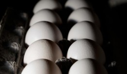 鸡蛋召回：在三个州出售的鸡蛋可能与沙门氏菌爆发有关