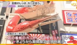 人类成本：加密赌博时代的成瘾和金融崩溃