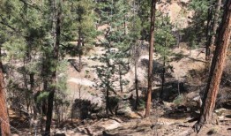 美国著名的登山胜地被指受到堪比切尔诺贝利的放射性废物污染，但政府对此予以否认