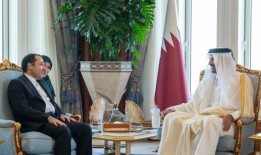 阿米尔接受了六位新任驻卡塔尔大使的国书