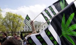 威斯康星州两党法案将少量大麻合法化