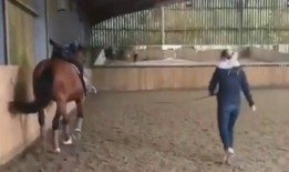 奥运选手夏洛特·杜雅尔丹“像马戏团里的大象一样鞭打马”视频曝光