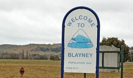 布莱尼持械抢劫案的司机再次申请保释，细节浮出水面