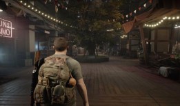 Dev从互联网上删除自己的前一天