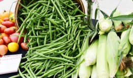 拉姆齐高中团队在创新挑战赛中赢得1万美元奖金