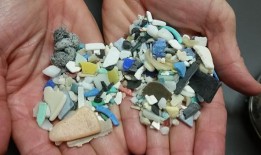 对抗微塑料，共创更清洁的未来