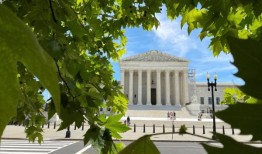 最高法院对雪佛龙的裁决迫使国会履行其职责