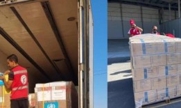 访谈：介绍埃及在加沙和苏丹的重要援助角色