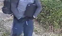 南安普顿：珠宝，钱包和修剪器被盗后的闭路电视