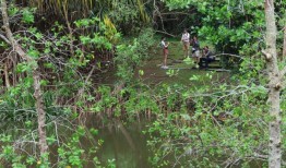 自然爱好者担心，巴西里斯公园附近的BTO项目会赶走野生动物，包括罕见的猫头鹰