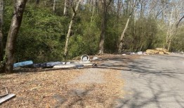 第八名嫌疑人被指控犯有令人发指的酷刑，谋杀了伯明翰的母亲桃花心木·杰克逊