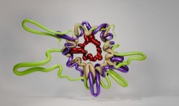 多么残忍的骗子会让他们的受害者不知所措