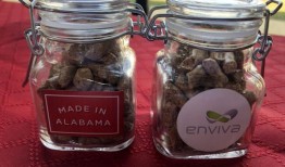 阿拉巴马州木屑颗粒厂寻求数百万美元的气候基金，但批评人士表示不会减少二氧化碳