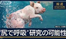 星巴克在日本购物中心开设家庭咖啡馆