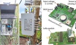 智能花园：为什么你应该自动化你的绿色空间